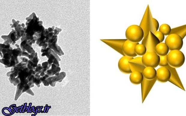ویروسی که نانوذرات طلا می سازد